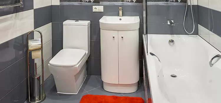 Hansgrohe Shaving Mirror Twin Falls